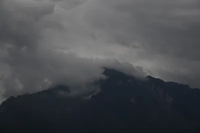 DSC_6391 (Large).JPG